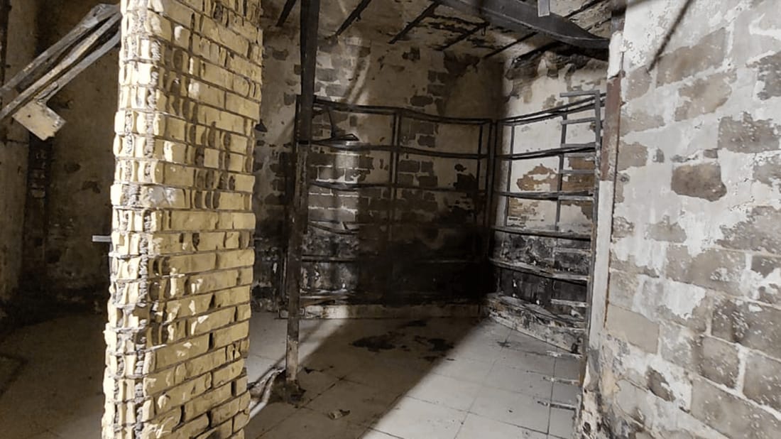 964mediaصورة من منصة (شبكة): 