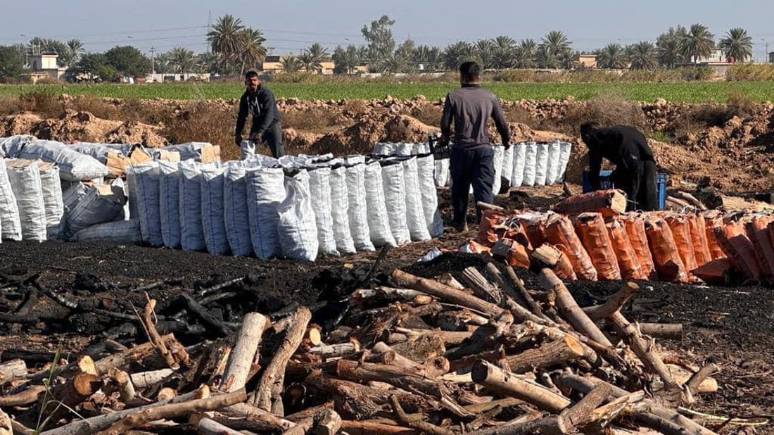 الشوي على خشب حمضيات ديالى ليس كغيره.. الفحامة في أفضل حال والمنتوج إلى البصرة