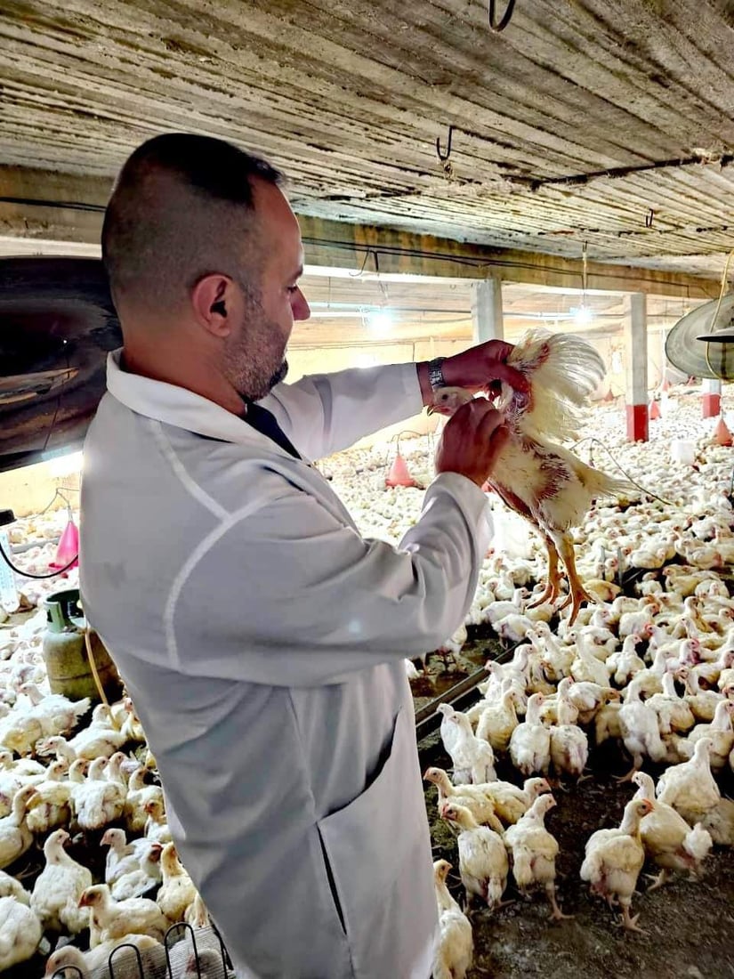 خورماتوور هه‌ڵمه‌تێكی ده‌ستپێكردووه‌ بۆ سەلامەتی ئاژه‌ڵ و باڵنده‌ و مرۆڤه‌كان