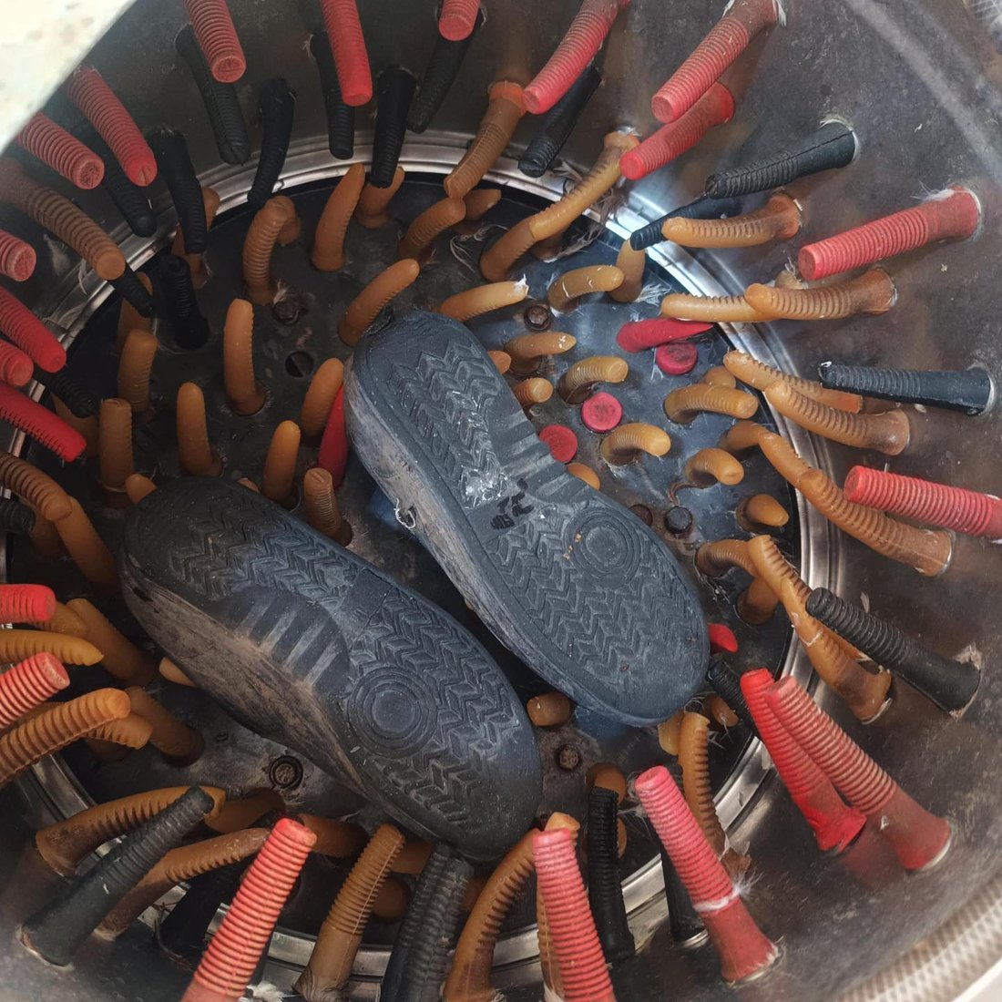 هەر لەو جیهازەى مریشکەکانى پێ پاک دەکات، پێڵاوەکانیشى پێ دەشوات