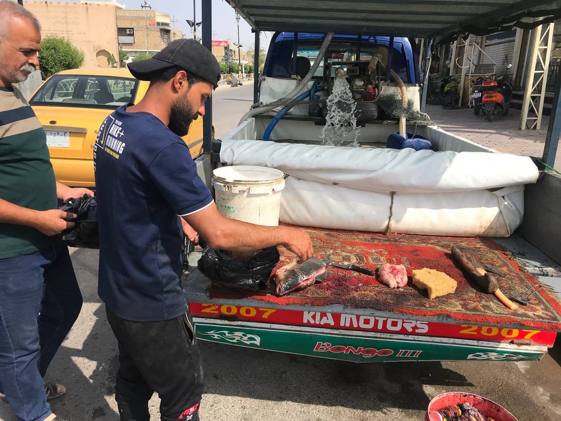 الكوت: أسعار السمك ترتفع مع حصر خزين الأنهار بالاستخدام المنزلي ومنعها عن الأحواض