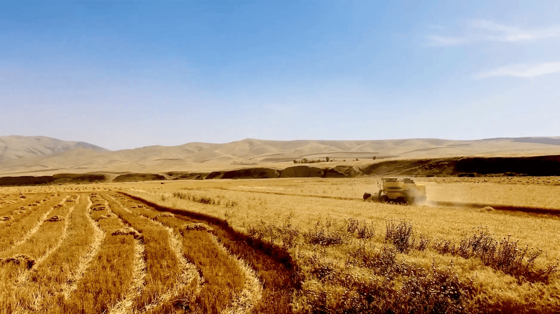 حەوت رێنمایی لە کشتوکاڵی هەولێرەوە بۆ رێگریکردن لە ئاگرکەوتنەوە