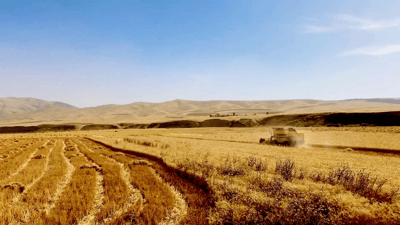 قایمقامییەتی کەلار جوتیاران ئاگادار دەکاتەوە