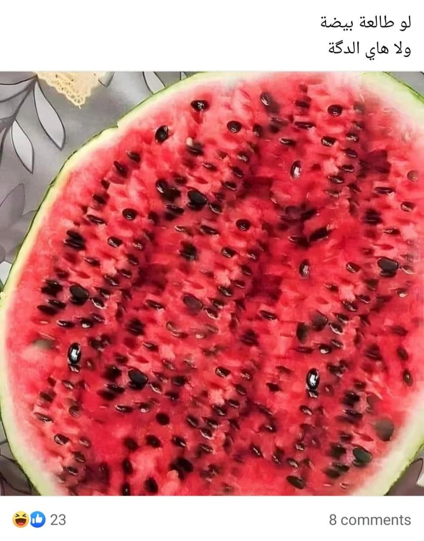 350 ألف عراقي في “تجمع التافهين”: لسنا مجانين ونمنع خدش الحياء وكرة القدم (صور)