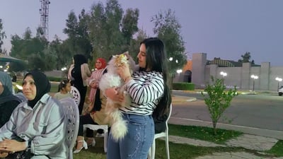 ليلة سعيدة للقطط والكلاب في غابات الموصل.. ربع طن طعام ولقاحات مجاناً (فيديو)