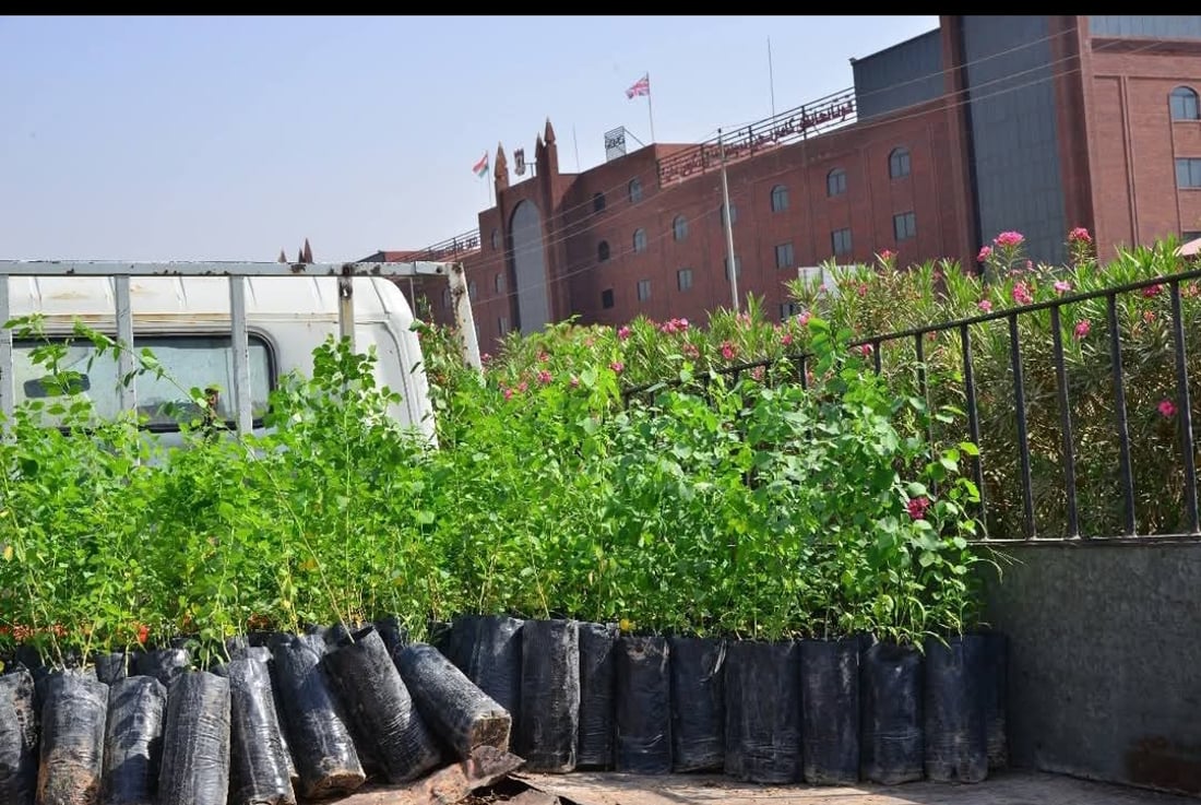 شه‌قامی 120 مه‌تری هەولێر سه‌وزتر ده‌كرێت