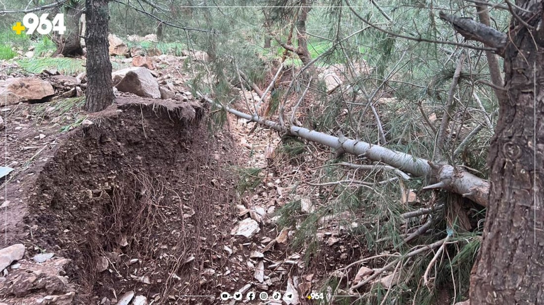 با و باران چوار دارسنەوبەری ئەزمەڕی لە رەگەوە هەڵکێشا