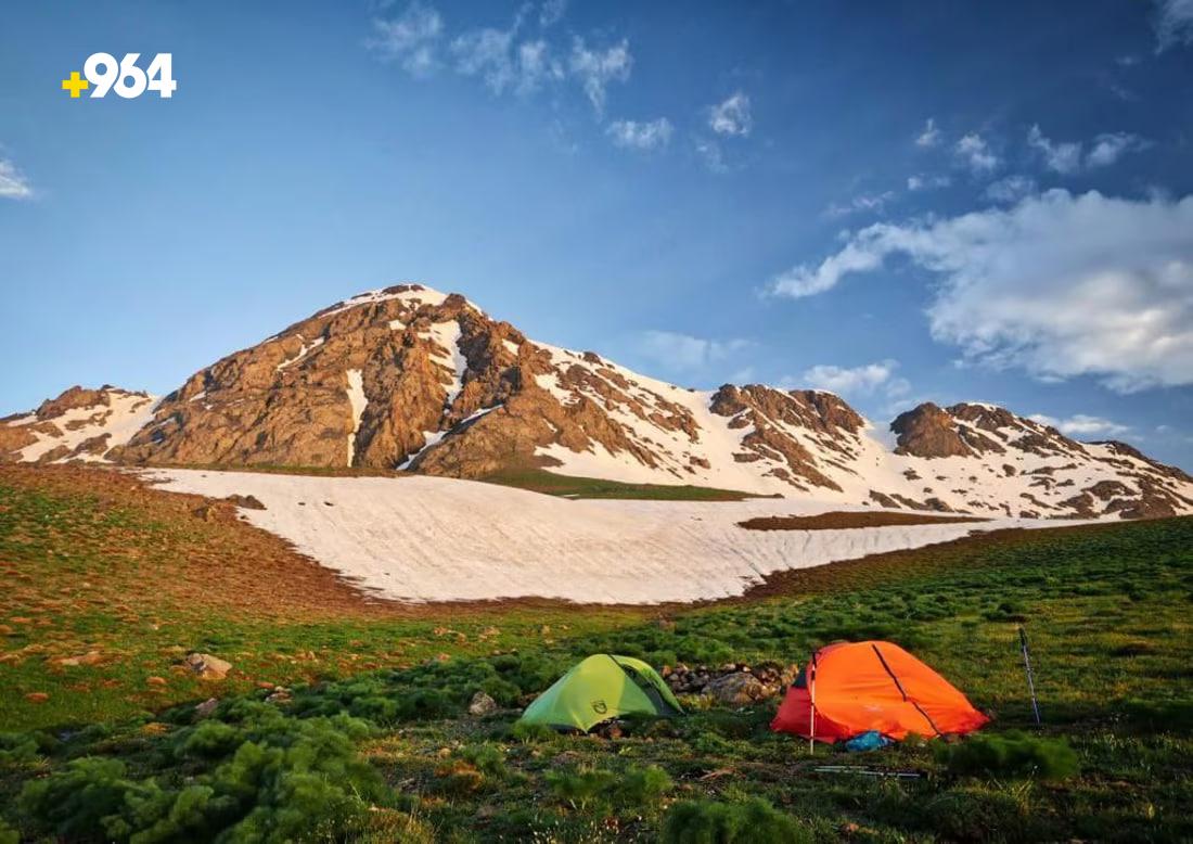 964mediaصورة من منصة (شبكة): 