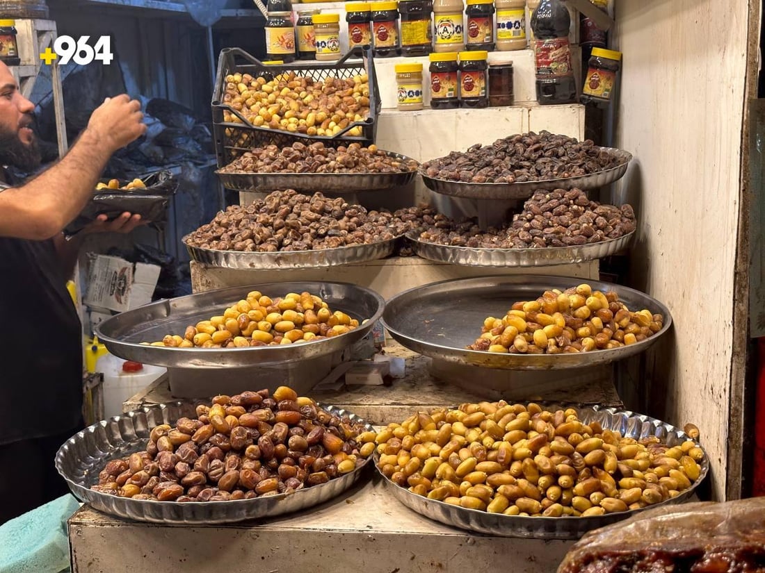 صور: نخيل الحي والنعمانية يطرح ثماره بكثافة.. 8 أصناف والأسعار تنخفض في الكوت