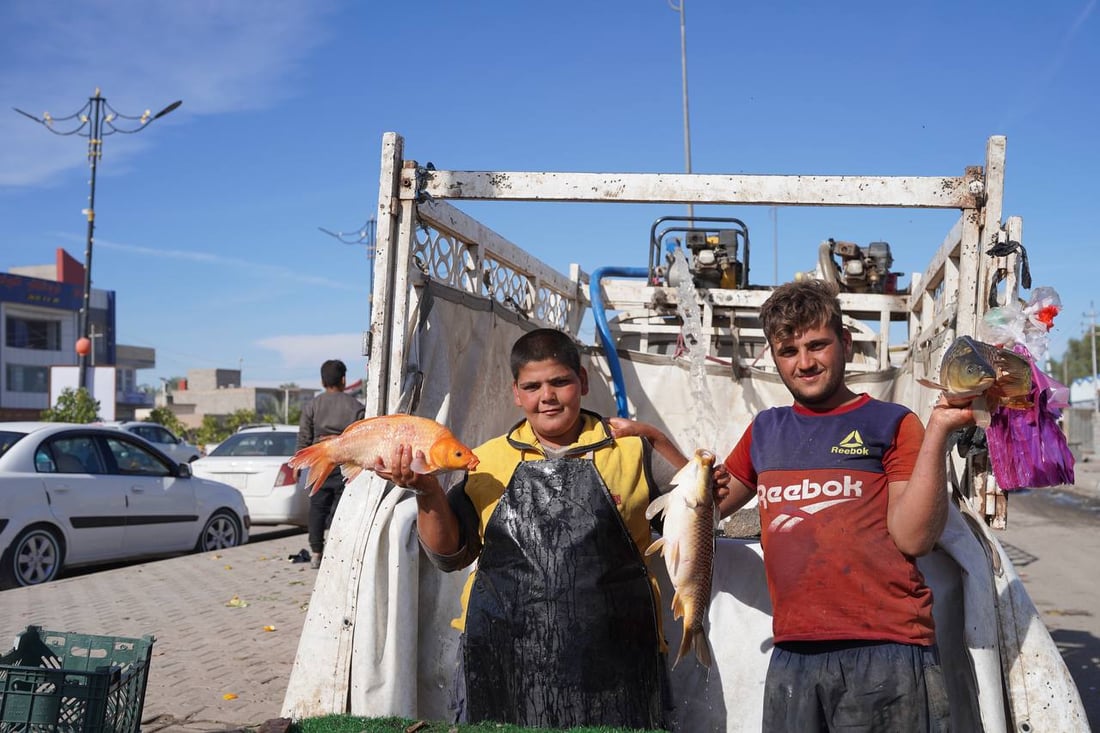 تحطيم أسعار بين باعة السمك والكيلو إلى 6 آلاف.. مدخل بعقوبة مزدحم بـ 50 سيارة