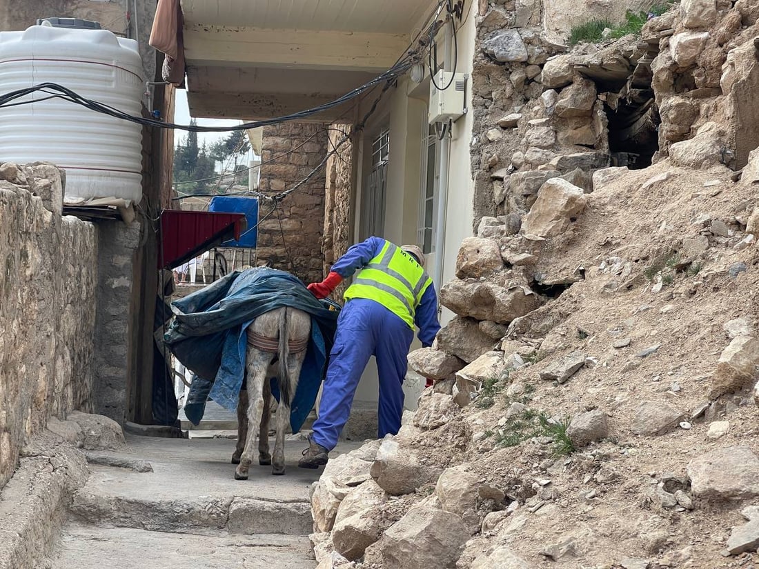 راتب الحمار في عقرة 350 ألف دينار.. والعقود حتى 2027 (صور)