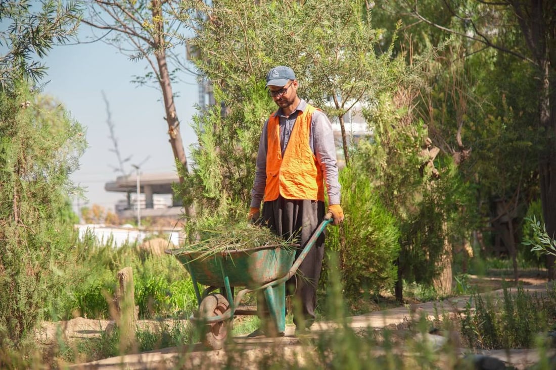 112 هەزار نەمام ئامادەن بۆ باخچەکانی هەولێر 