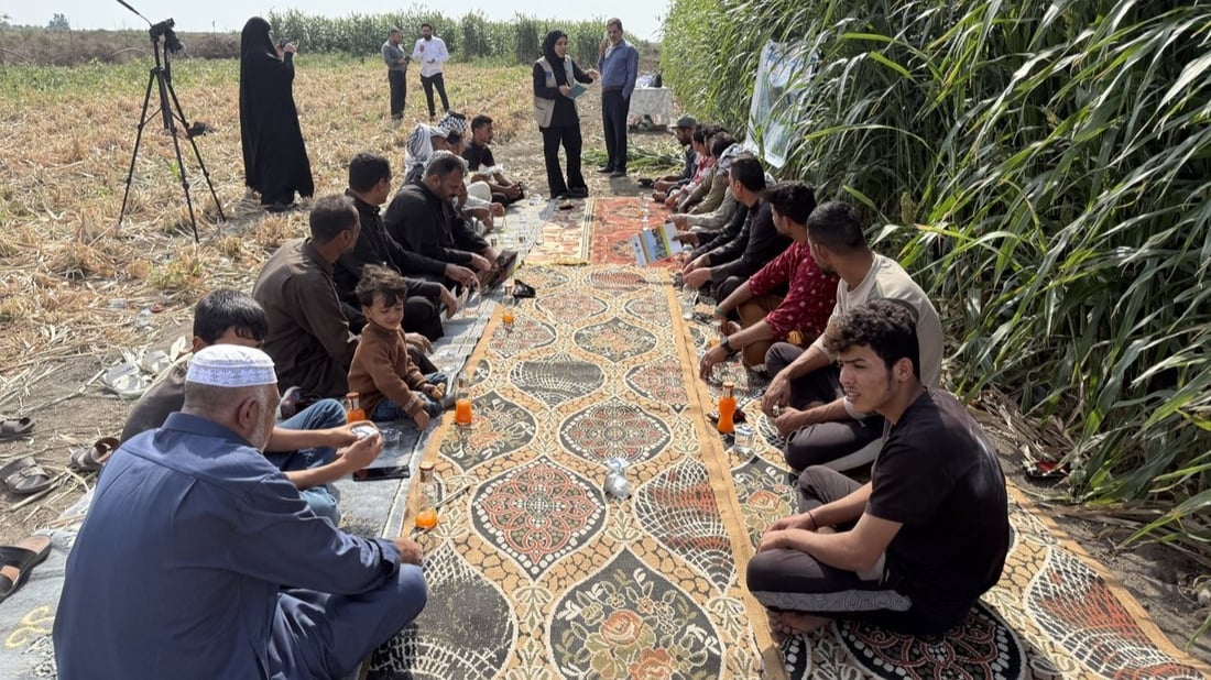 European experts urge Iraqi marshland farmers to adopt green fodder for healthier buffaloes