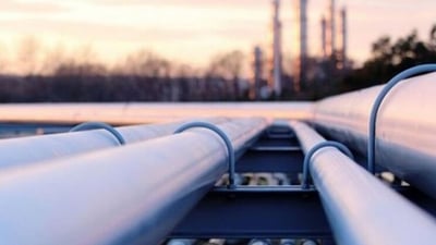 سومو: حققنا عوائد ممتازة ونتفاوض لاستثمار أنابيب خليجية تتجاوز هرمز