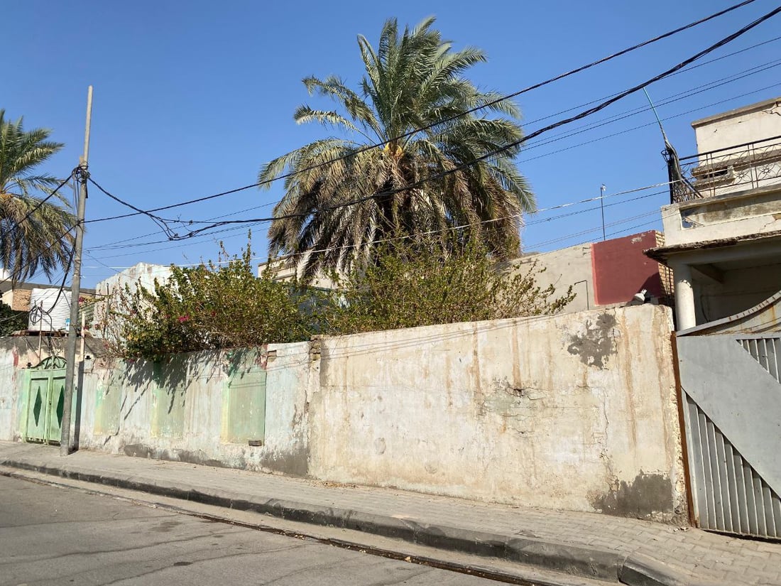 مسابقة بتنظيم البلدية.. السماوة توزع شتلات الورد على المنازل مجاناً