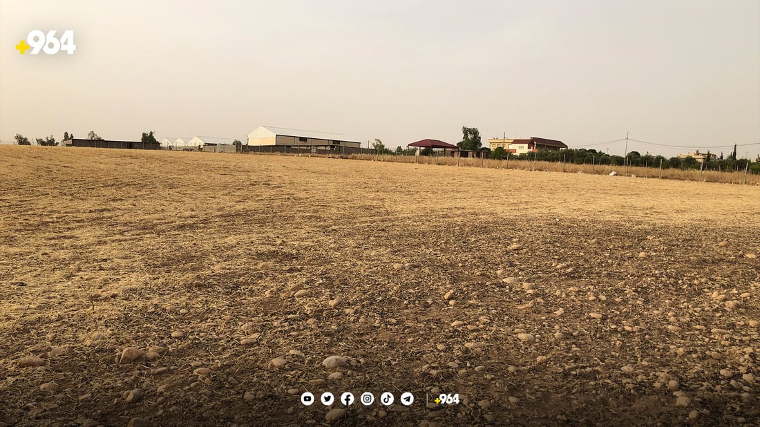 شوانێک سەرووی 150 سەر مەڕی خاوەنەکەی دەدزێت