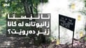 تائێستا زانیوتانە لە گانا زێڕ دەڕوێت؟