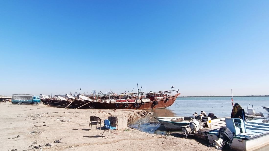 مشهد لا يتكرر كثيراً: مزاد أسماك البحر في الفاو فارغ.. لا مزايدات ولا صخب (صور)