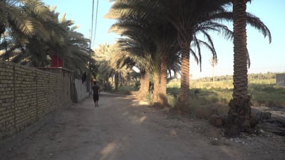 صور: أثرياء بابل يضاعفون أسعار الأراضي الزراعية.. بيوت فارهة بعيداً عن الضوضاء