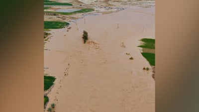 Iraq gains 6 billion cubic meters of water reserves from recent storms