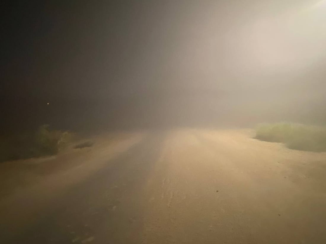 964mediaصورة من منصة (شبكة): 