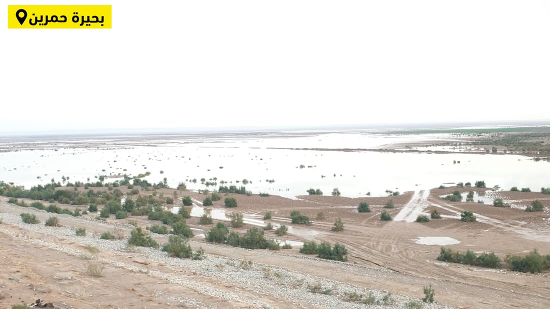 خبير مائي لـ 964: وضع بحيرة حمرين مازال مقلقاً رغم الأمطار.. وخطة الزراعة مهددة