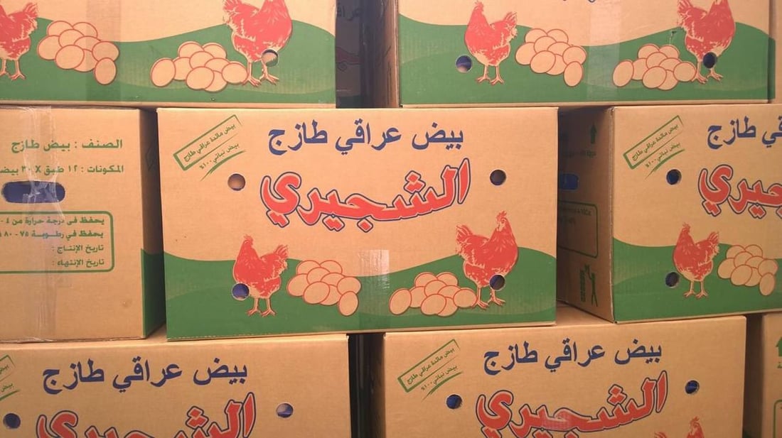 مزارع البيض في واسط: خسرنا المليارات في 60 شركة ونستعد للإغلاق (صور)