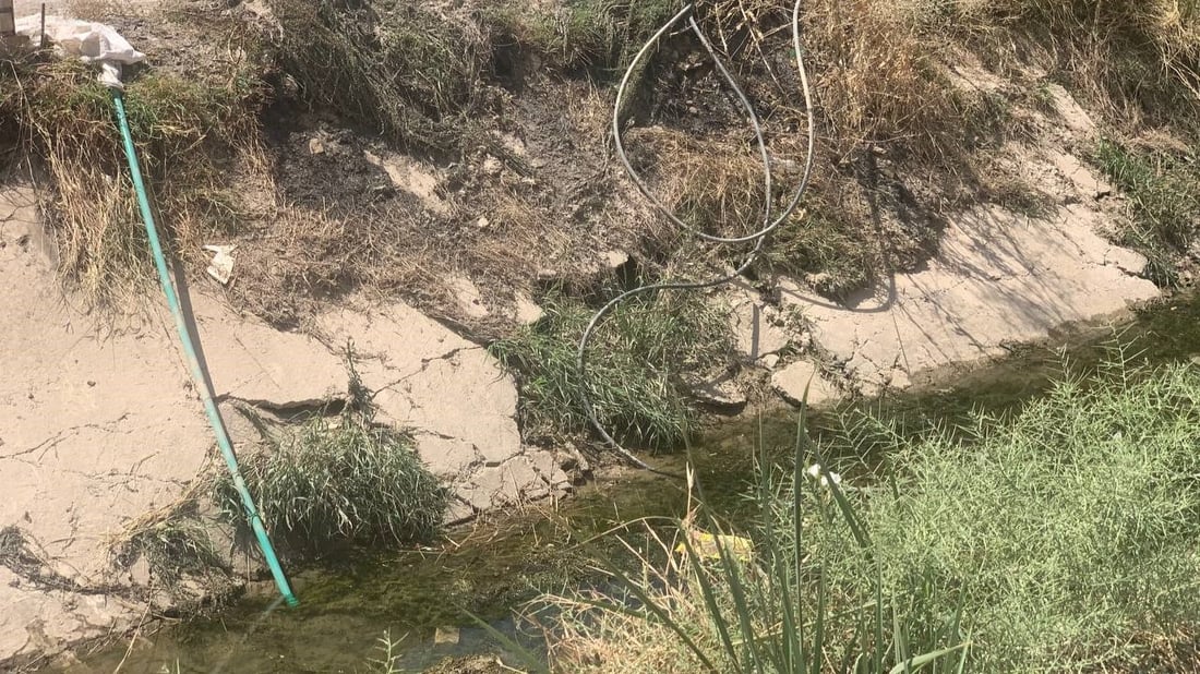 “أم العصافير” البغدادية تشرب من دجلة بلا تصفية.. مناعتنا تقل ونخشى الأمراض