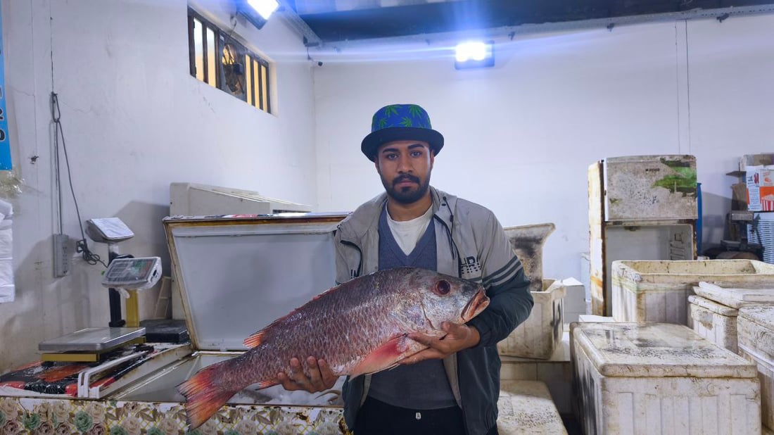 “هامور وشانگ وروبيان”.. وصول 22 طن أسماك إلى النقعة (صور)