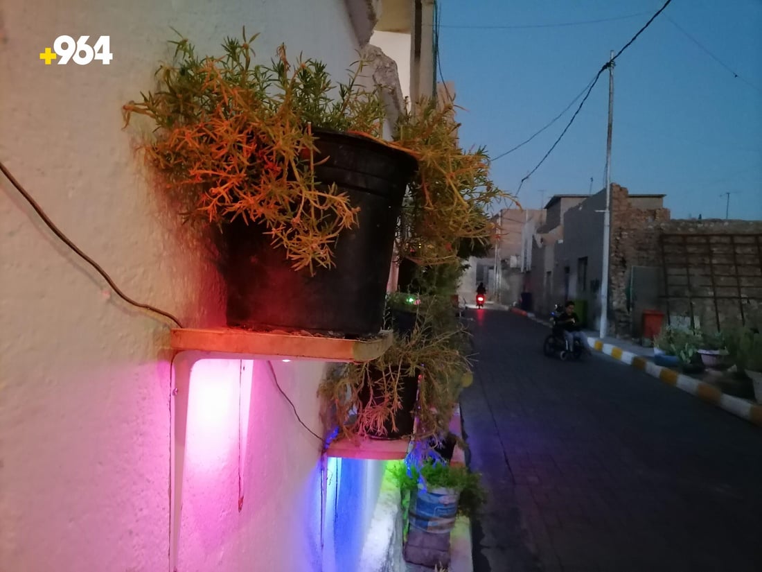 على كرسي متحرك.. ثلاثيني يزيّن شارعاً في هيت بالإنارة والمظلات والصبار (صور)