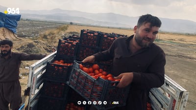 حکومەتی هەرێم: وەبەرهێنانی کشتوکاڵی بۆ 10% زیادی کردووە