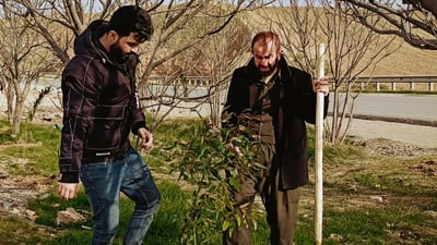 2,000 saplings planted in Chamchamal to restore greenery along key highway