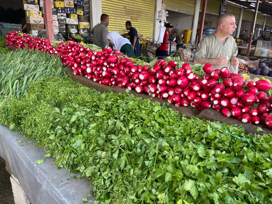 علوة كركوك: الباميا العراقية “مغرورة” بـ4 آلاف.. والمشمش يختفي بسرعة (صور)