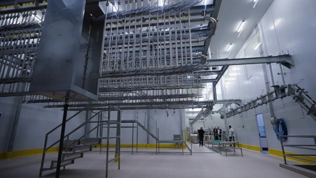 50هەزار ئاژەڵ بەیەکەوە جێگەیان دەبێتەوە 