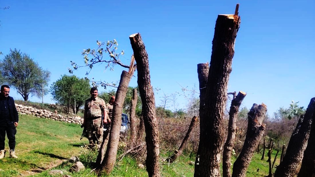 له‌ گوندێكی هیران كه‌سێك ده‌یان دارى سه‌ربڕ كردووه‌ و ده‌ستگیركرا