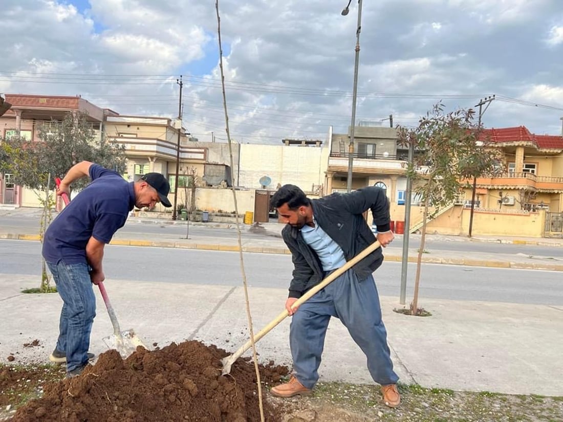 ژینگەدۆستانی حاجیاوا نەمامی دیکەشیان چاند