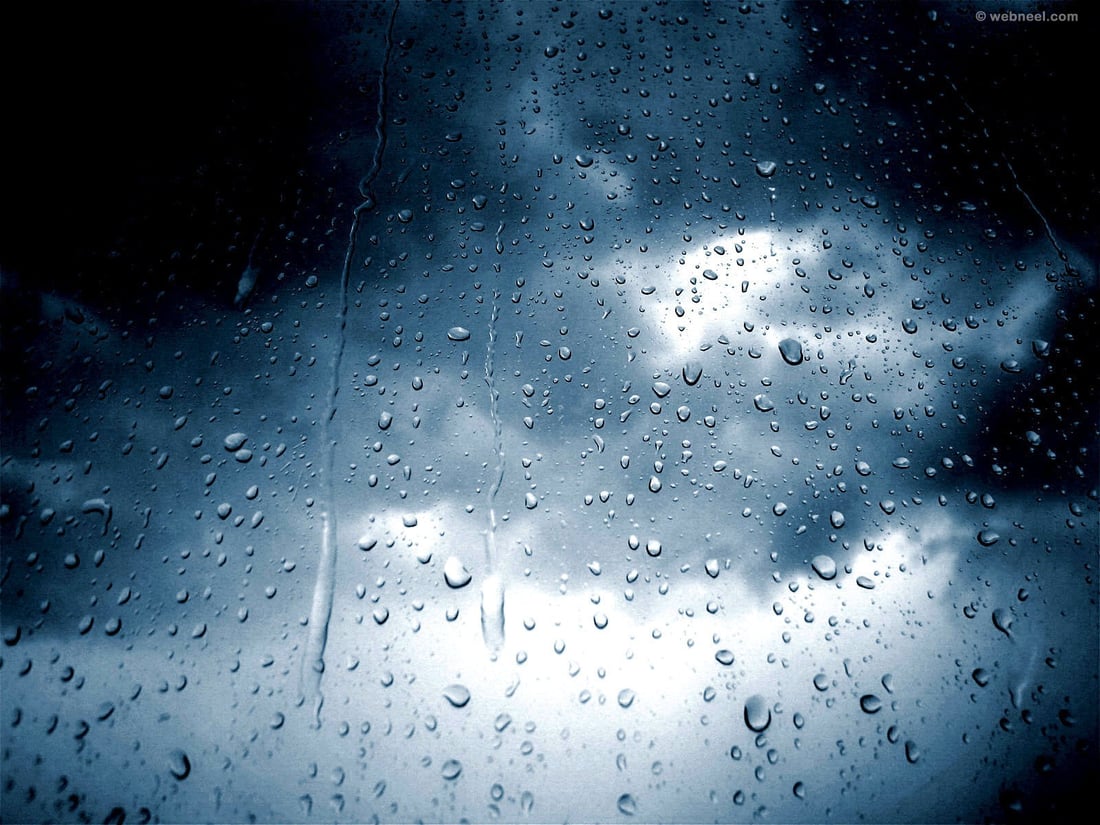 ناحیەی هەڵشۆ زۆرترین و هەولێر کەمترین بارانیان لێ باریووە