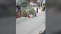 ویستی جانتای ژنێک بدزێ و دەستگیر كرا