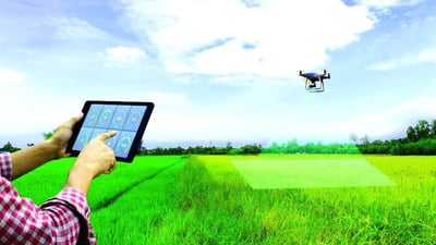 Iraq looks toward AI, digital agriculture to bolster food production