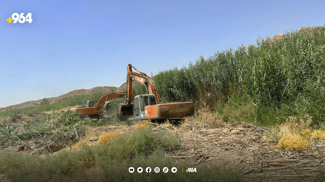 باوەشاسوار بۆ گەشتیاری ئامادە دەکرێت