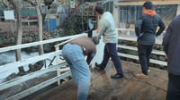 بەربەستی پاراستنی گەشتیاران لە ئەحمەد ئاوا و سەرچاوەی ...