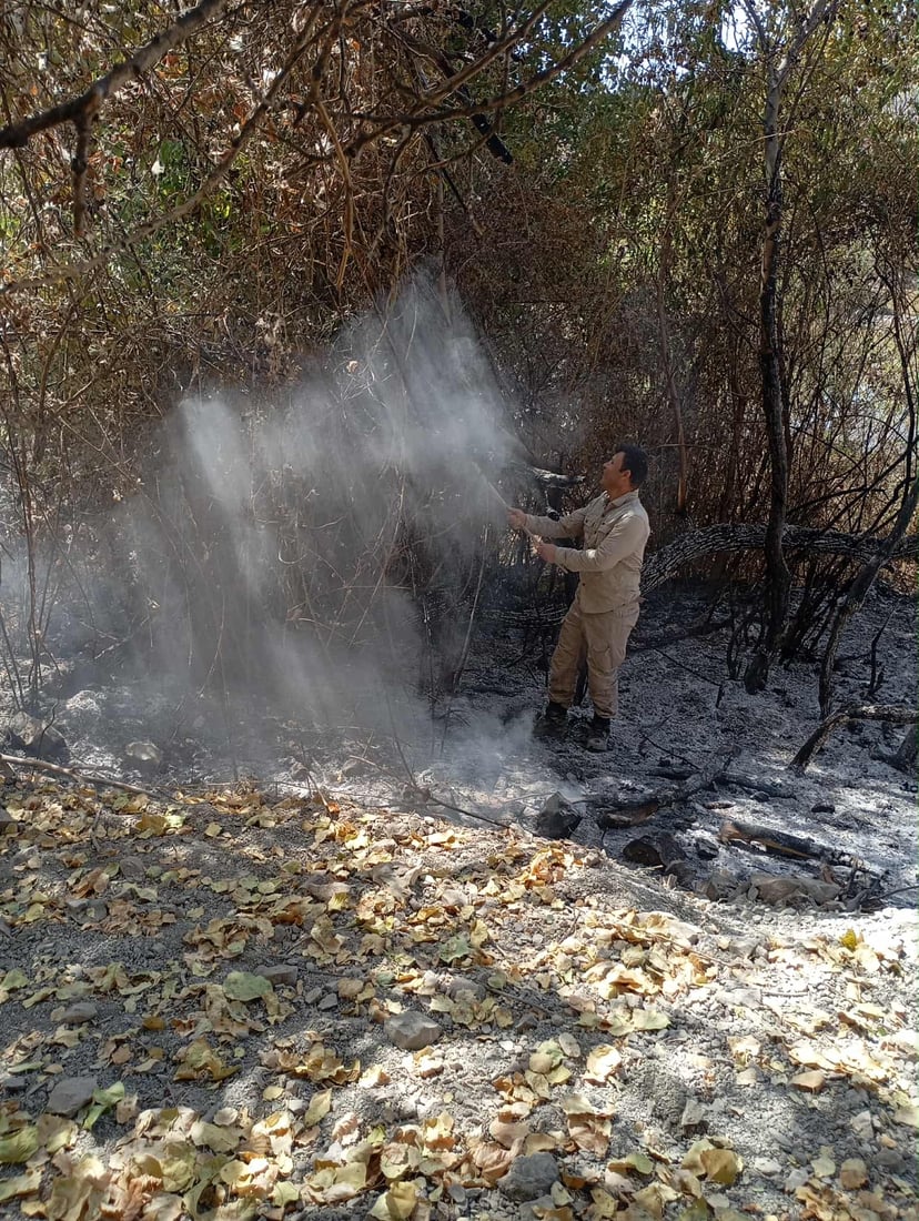 ئاگر بەرۆکی شارباژێر بەرنادات و نزیکەی 1400 دۆنم زەوی سووتاند