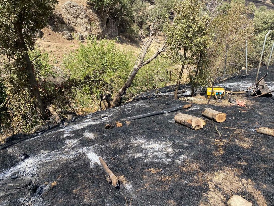 لە شارباژێر 60 دۆنم پوش و پاوان و دارستان سووتا