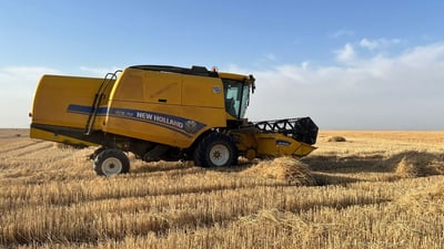 الأنبار تخرج “زكاة الحنطة” بقياس المحصول حول واحات الصحراء في الرحالية (صور)