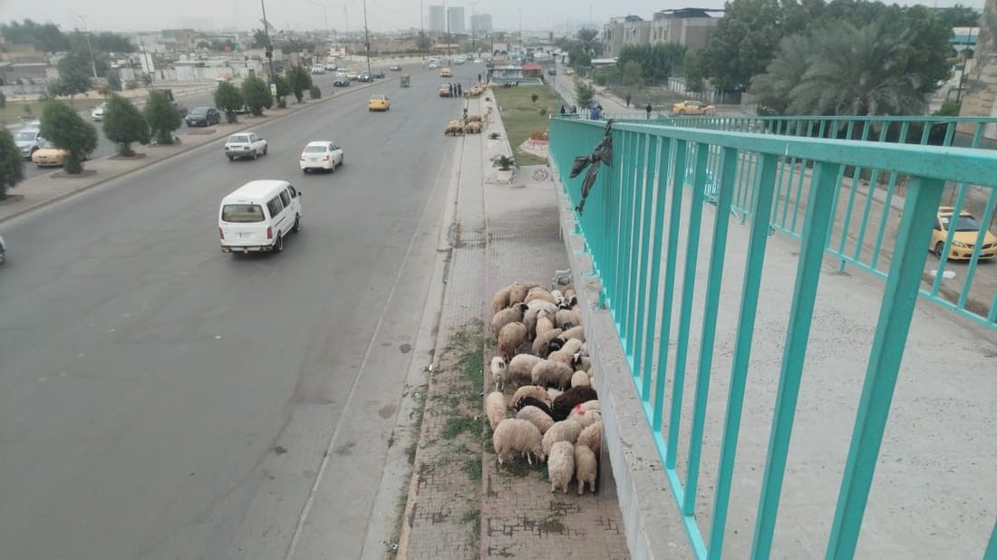 لعبة القط والفأر لا تتوقف.. “جوبة حي صدام” عادت فور انتهاء الحملة (صور)