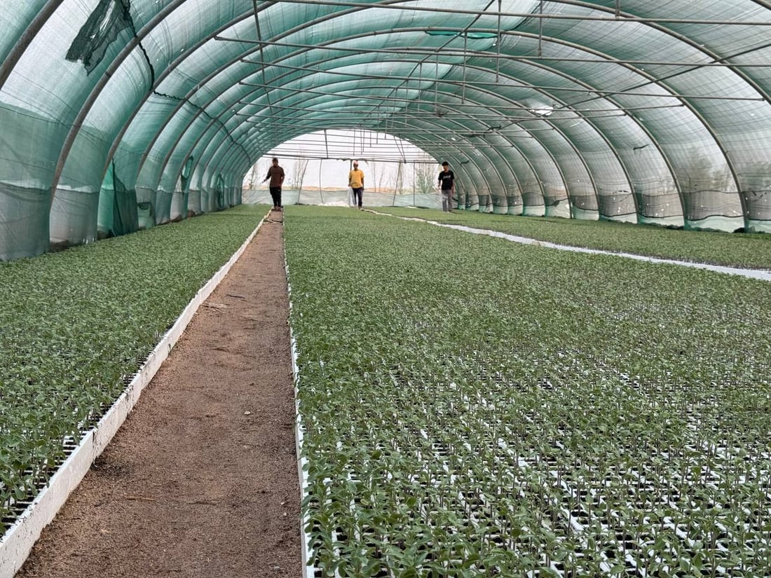 <?php echo get_the_title() ?>