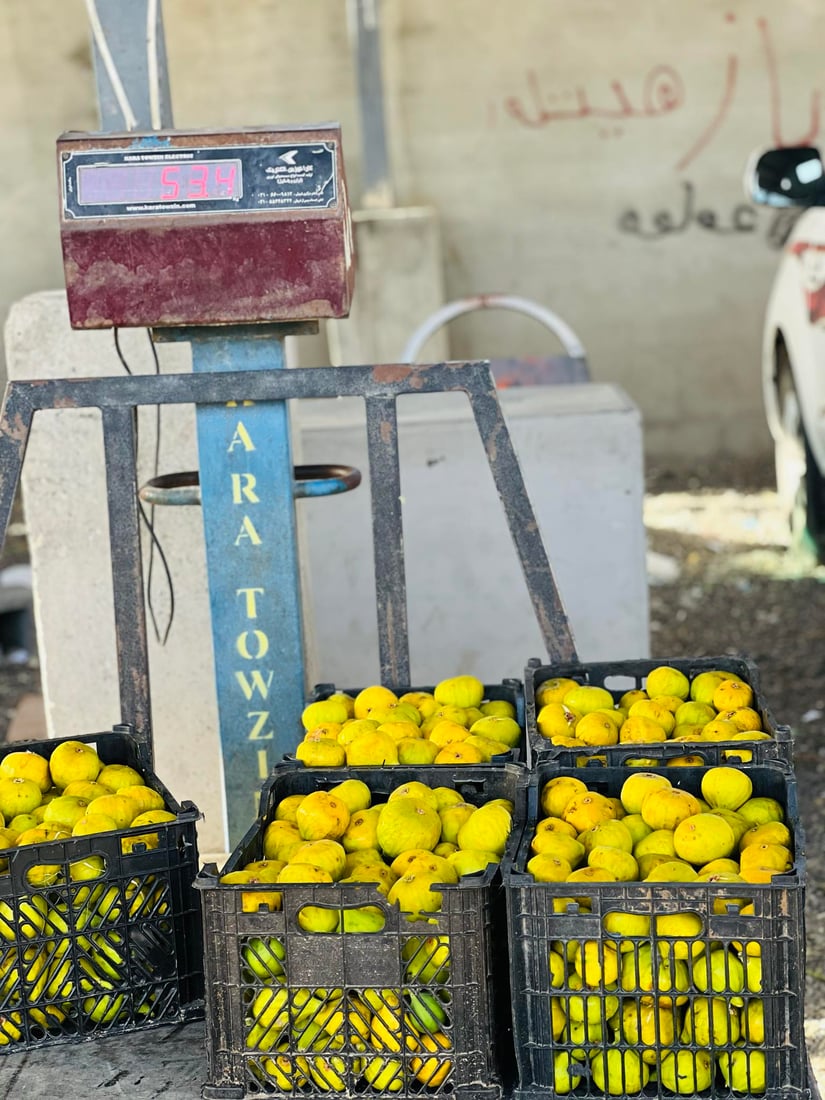 هەنجیری قەرەناو و ئۆمەرمەندان بۆ ناوچەکانی عێراق دەچێ