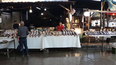 الموصل: منازل الضباط والمسؤولين تقيد صيادي السمك في دجلة