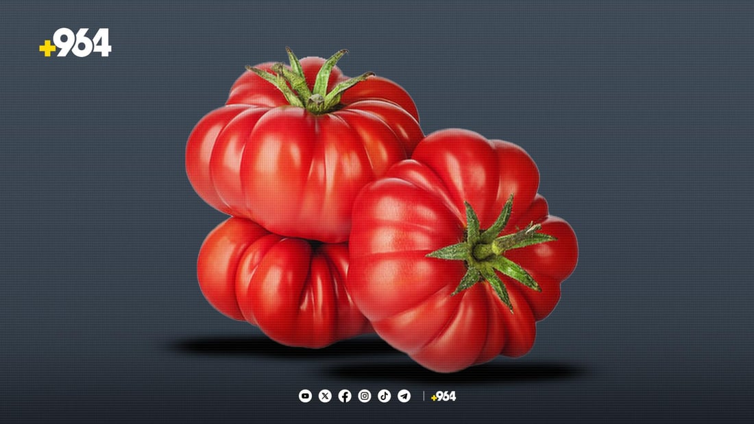 جوتیارانى برادۆست كێشه‌ى ساغكردنه‌وه‌ى ته‌ماته‌یان هه‌یه‌