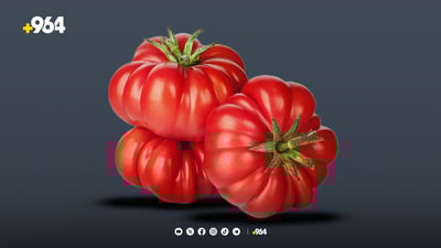 جوتیارانى برادۆست كێشه‌ى ساغكردنه‌وه‌ى ته‌ماته‌یان هه‌یه‌